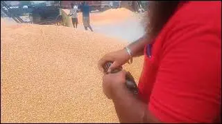 CUSTOMER USING FARMEX MT PRO PLUS ON MAIZE CONTACT 9996779897