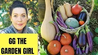 Cottage Garden Tour and Harvest - 5 Varieties of both eggplants and Pumpkins // Week 6