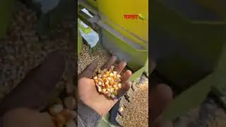 NVT tharser ￼￼Makka nikalte huei video 🌽#nvt #machine #farmerlife