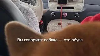 Вы говорите: собака &mdash; это обуза