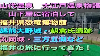 大江戸温泉物語プレミアム山下家に宿泊して　恐竜博物館、見方五個などの福井旅行に行ってきた