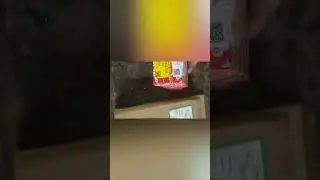 عمرة موتور بى واى دى  BYD 2021