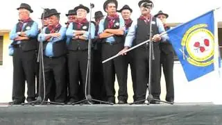 Moreninha Alentejana - ACRART