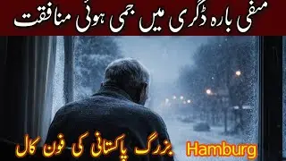 &ldquo;Hypocrisy frozen in minus twelve degrees&rdquo;#pakistan #germany #hamburg #canada #pakistanpolitics #...