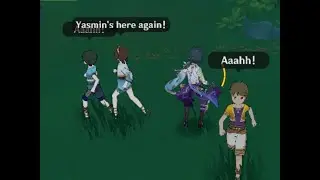 funny npcs (genshin impact)