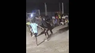 Nubians&rsquo; Karang Dance &ndash; Traditional African Cultural Performance#viral #viralvideo #video #vlog