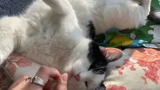 ailemle bir gün geçirin