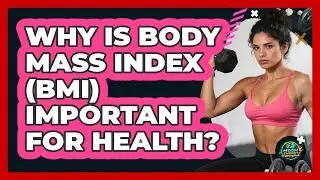 Why Is Body Mass Index (BMI) Important For Health? - High Energy Training Hub