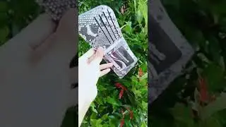 Curved Wallet made of genuine phyton snake skin natural color