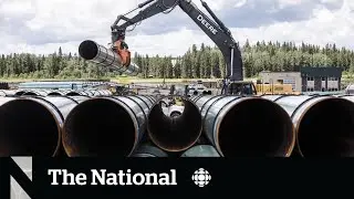 Alberta appeal court says federal environmental impact law violates constitution