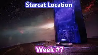 Final Starcat Location Week #7 | Destiny 2