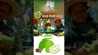 Noni Fruit Song 🌿🍈 | Tropical Superfruit Fun for Kids | 3D Animated Song | EduFam
