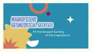 Magnificent Geometrical Geopods (motion graphic animation)