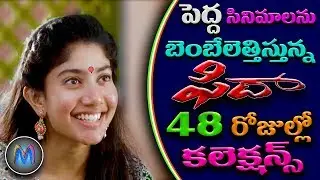 Fida Box office collections | Fida 48 Days Collections | Fida 48 Days Box office collections