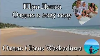 Шри Ланка 2025 ОБЗОР|Отель Citrus 5*