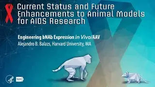 Engineering bNAb Expression in Vivo/AAV
