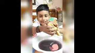 Scientific Experiment on clean and dirty water💧💦
