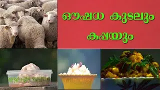 ചെമ്മരിയാടിന്റെ കുടലും കപ്പയും /INTESTINE CURRY & TAPPIOCA MIX/പോട്ടിയും കപ്പയും /POTTY & TAPIOCA