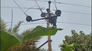 Single pole 11KV line tapping point maintenance