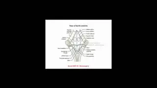 Neurosurgery @ASSURE - 1, Hydrocephalus, CSF and anatomy of ventricles