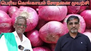 பெரிய வெங்காயம் சோதனை முயற்சி Update | பெரிய வெங்காயம் விவசாயம் |  Grotron | Farmagain