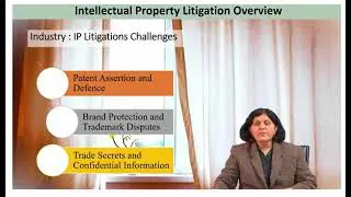 Challenges to Industry in IP Litigation- Patent Assertion