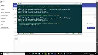 Nestjs generator get your upload file.