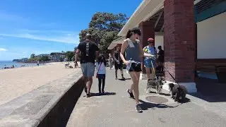 (4k) Short summer walk. Mission Bay, Auckland, New Zealand | January 3, 2022.
