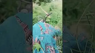 ###0457###