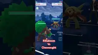 Rillaboom Vs Shiny Chesnaught #pokemongo