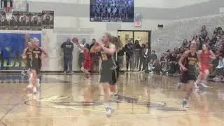 Michigan Center-Grass Lake girls basketball district semifinal highlights