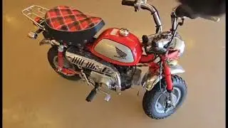 Red/Silver Monkey Run Video