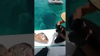 Easy Fish Head Cheek Meat: Fishing Hack!