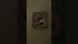 Gucci wallet 😎￼