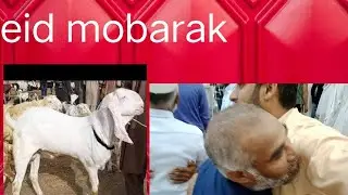 Aj hamri Eid ho gi ha sudiarab ma