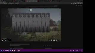 VIGOR community toxic Stream hackerSSSS harassment on PSN stay on your free to play