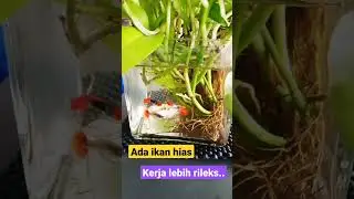 Rileks klo mumet