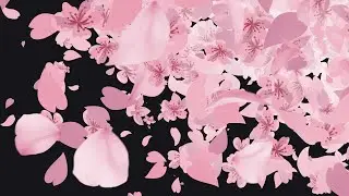 Pink Vtuber Sakura Cherry Blossom Transition | OBS Stinger for Twitch 🌸