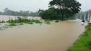 Full of water in malaphrabha river khanapur