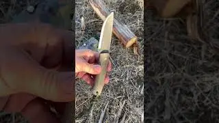 Boxer Blades Native #tool #collector #review #knife #bushcraft #survival #outdoorgear #bushcrafttool