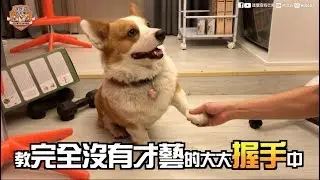 [連環泡]大大的握手教學與他的空氣零食