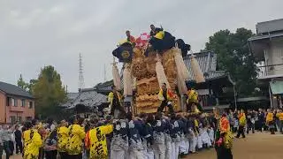 坂出八幡祭り2025 鳥若太鼓台