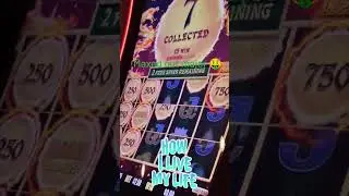 Getting maxed out major @spotlight29casino #youtubeshorts #casino #coachella