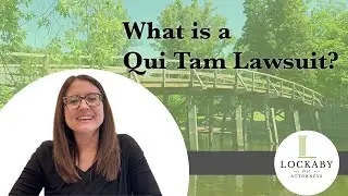 Qui Tam Basics: What is a Qui Tam Lawsuit