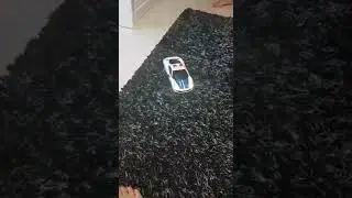 Кот в шоке
