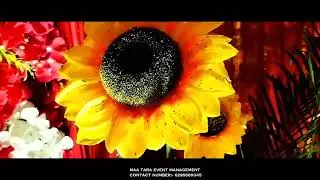 Flower And Lighting Decoration   #decoration #flowerdecoration #lightingvideo #lightingdecoration