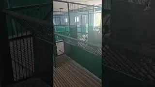 Modern sheep shed