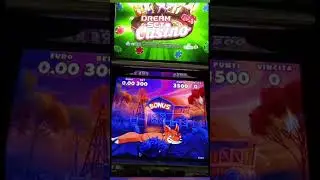 Dream Fortune  Spin the Wheel to Win Cash!