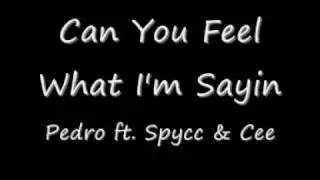 Pedro ft. Spycc & Cee - Can You Feel What I'm Sayin'