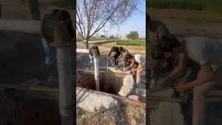 Мы спасаем разноцветных цыплят.